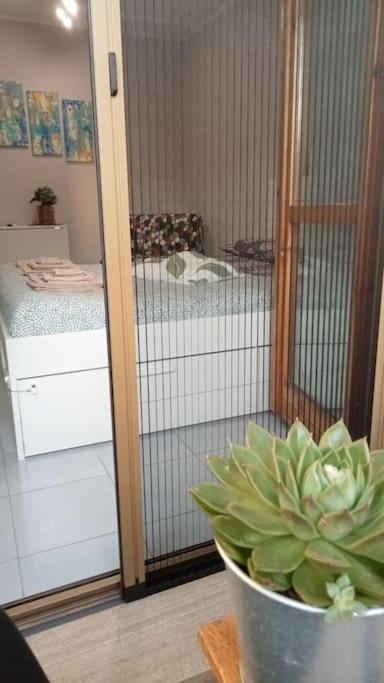 Casa Amuni' Monolocale A Free Parking Wifi Lägenhet Pisa