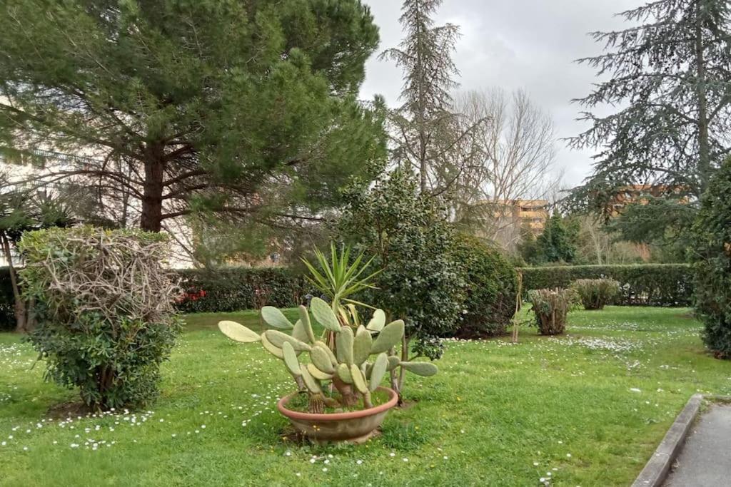 Casa Amuni' Monolocale A Free Parking Wifi Lägenhet